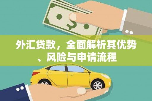 敖汉旗外汇贷款，全面解析其优势、风险与申请流程