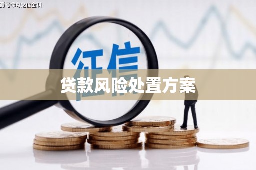 敖汉旗贷款风险处置方案