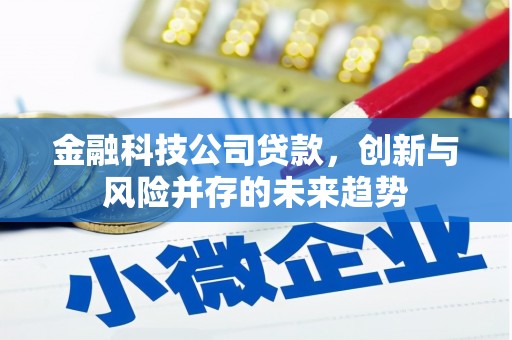 敖汉旗金融科技公司贷款，创新与风险并存的未来趋势