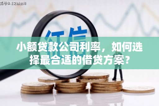 敖汉旗小额贷款公司利率，如何选择最合适的借贷方案？