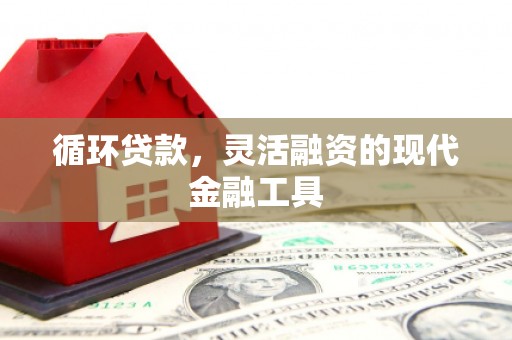 敖汉旗循环贷款，灵活融资的现代金融工具
