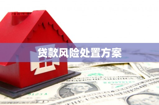 敖汉旗贷款风险处置方案